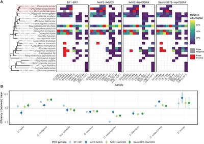 DNA Metabarcoding Enables High-Throughput Detection of Spotted Wing Drosophila (Drosophila suzukii) Within Unsorted Trap Catches